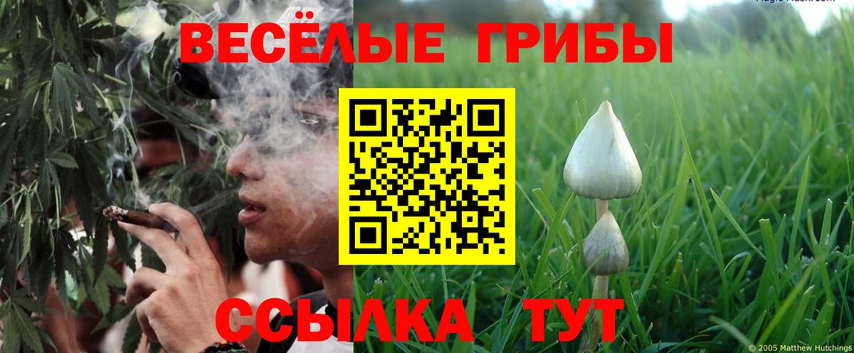 Псилоцибиновые грибы ЛСД  Вход с VPN  Ростов Великий 