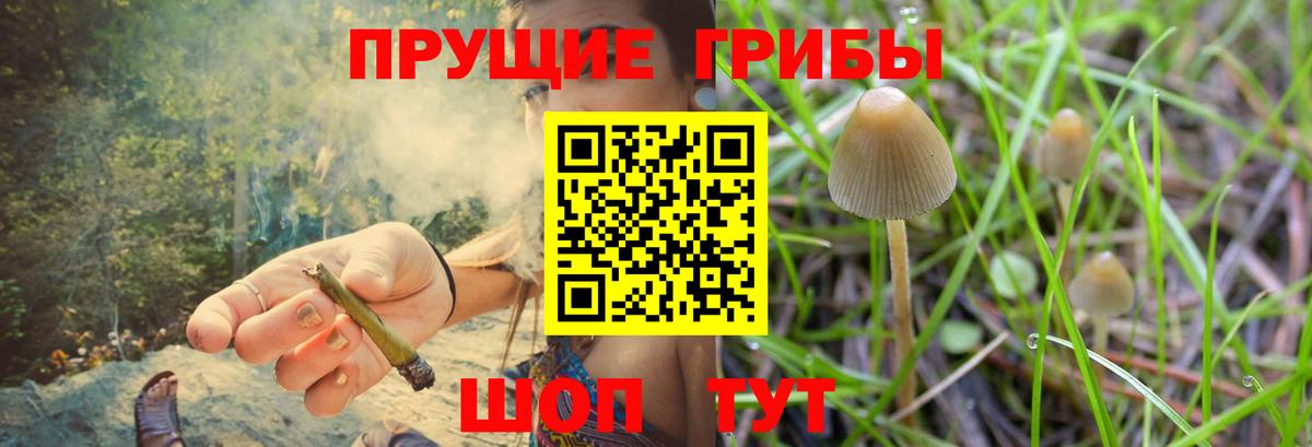 Марихуана Ростов Великий